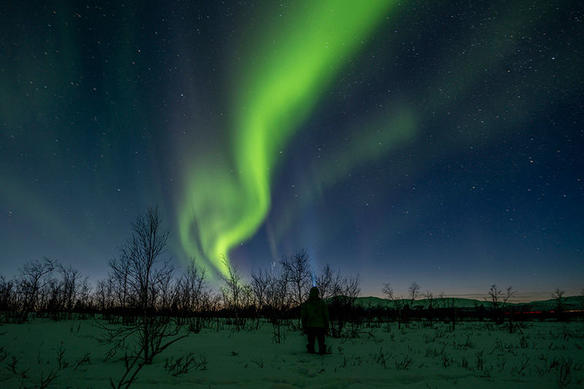 above the arctic circle