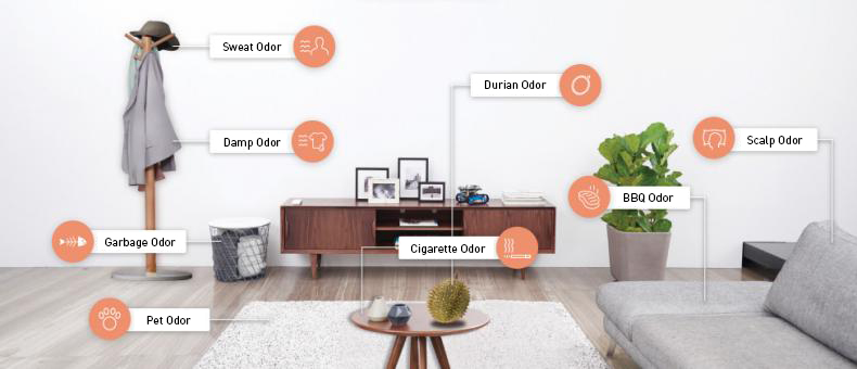 picture of a room showing sources for common household odors