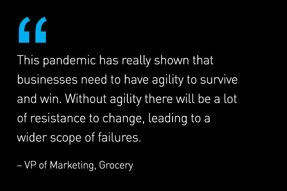 Quote from VP of Marketing for a grocery store: This pandemic has really shown that businesses need to have agility to survive and win. Without agility, there will be a lot of resistance to change, leading to a wider scope of failures.