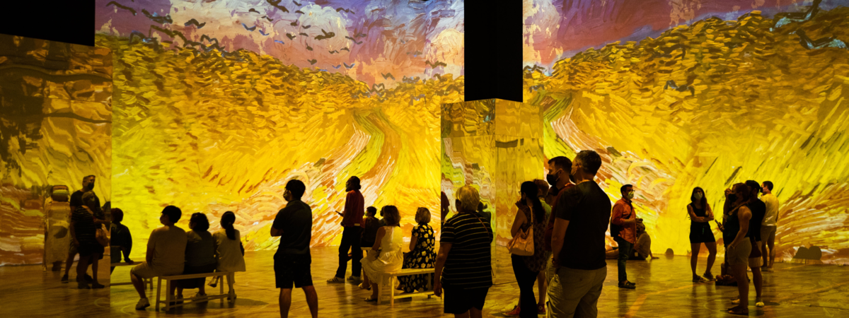 Socially distanced groups stand amidst an immersive Van Gogh experience